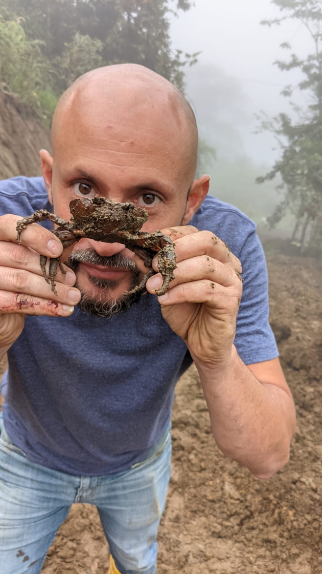 Crustaceans
