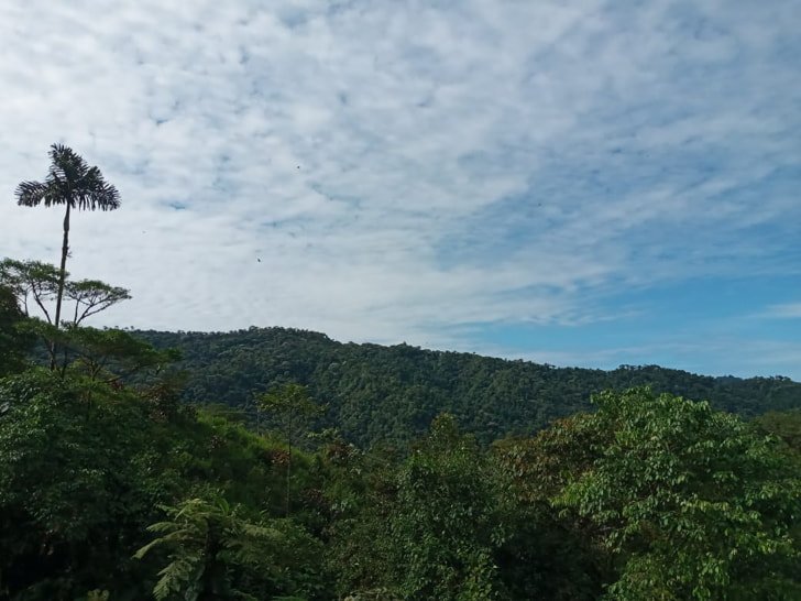 Landscapes