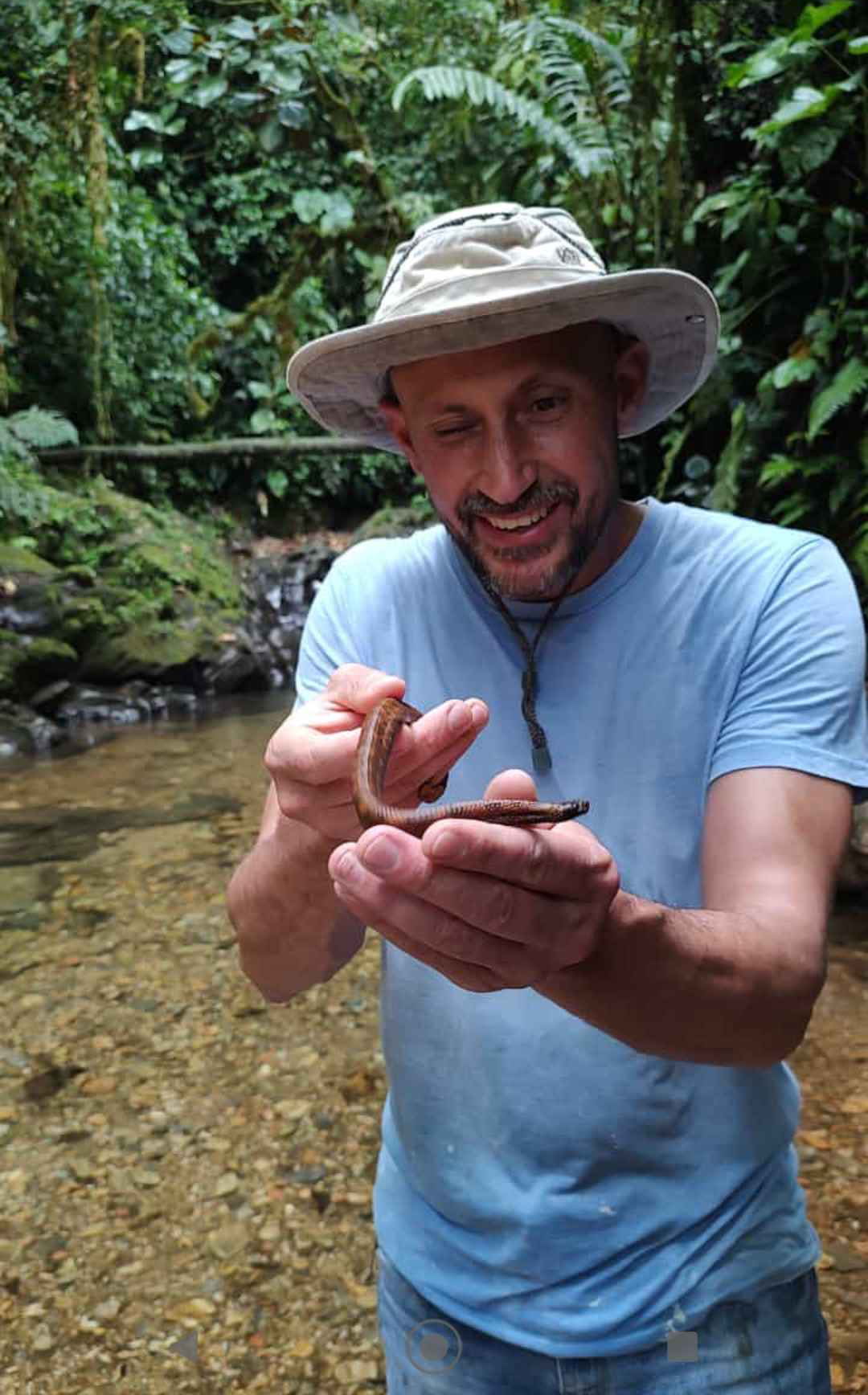 Reptiles
